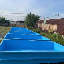 Bể nuôi lươn composite hải sản