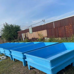 Bể nuôi lươn hải sản