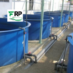 Bể chứa thủy sản dạng tròn bằng Composite