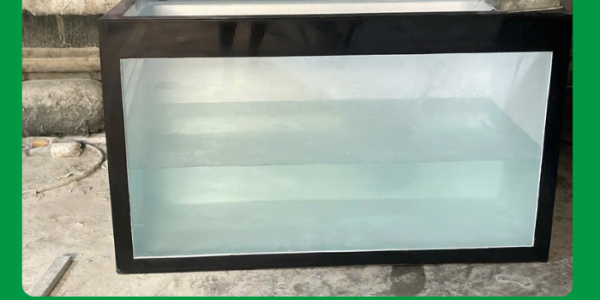 bể composite nuôi cá